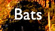 Bats